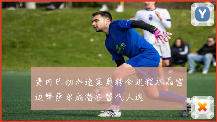 费内巴切加速莱奥转会进程水晶宫边锋萨尔成潜在替代人选